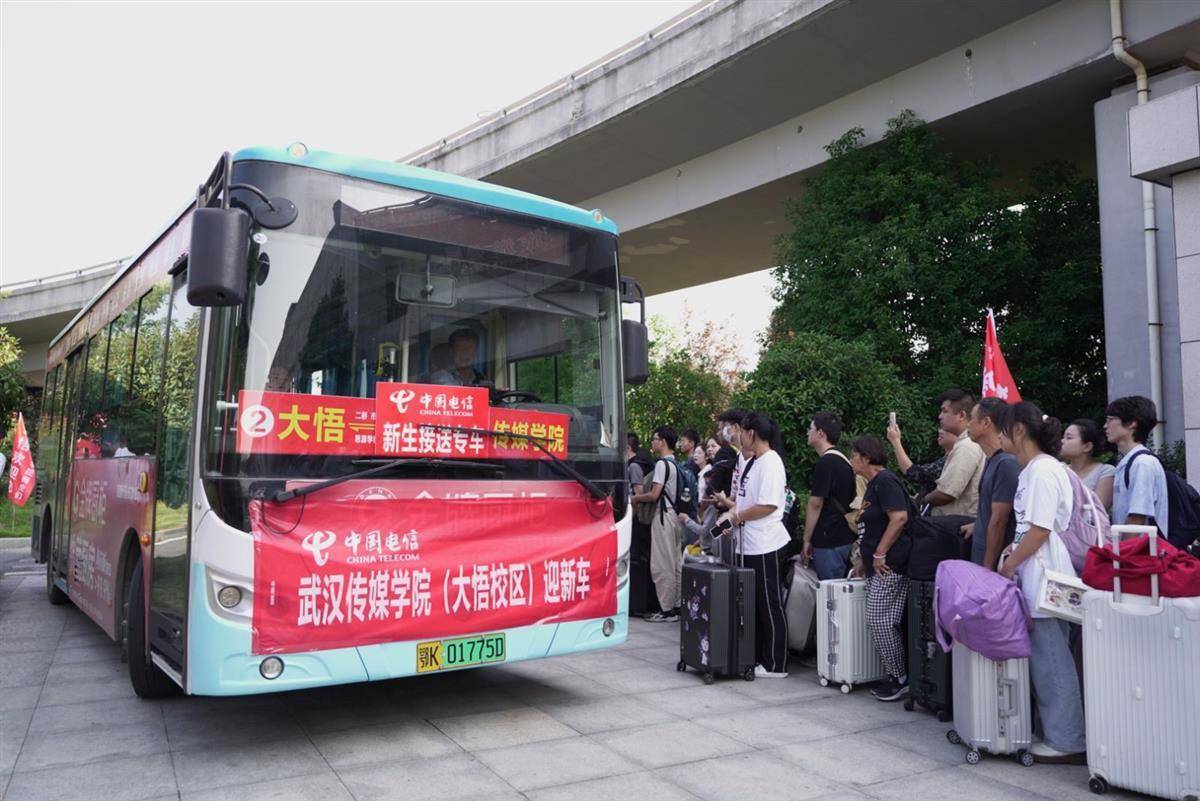 摇钱树网站687788